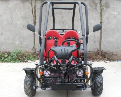 China SAMLL 110cc Go Kart Buggy / Adult Off Road Go Kart With Double Adjustable Seat for sale