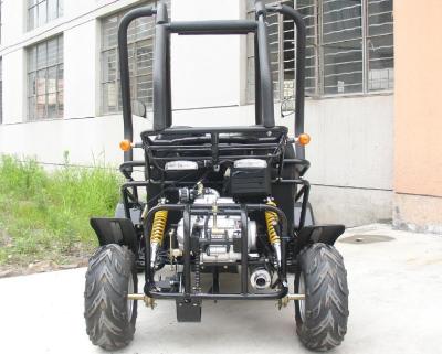 China 110cc Small Size Motorized Go Karts , Adult Go Kart Automatic Clutch 3 Speed With Reverse for sale