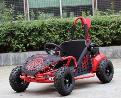 China 80cc Kids Off Road Go Kart , Max Speed 45km/H Two Person Go Kart EPA Approved for sale