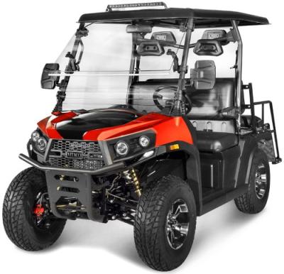 China 200cc Golf Utility Vehicle for sale