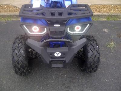 China Air Cooled 4 Stroke Utility Vehicles ATV 169CC 5500r/Min for sale