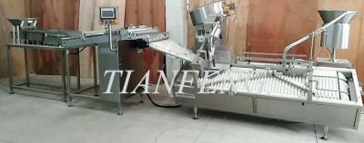 China Horizontal SS304 80pcs/Min Effervescent Tablet Filling Machine for sale