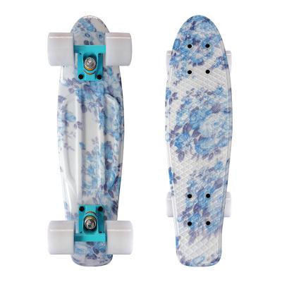 China 22inch 27inch Plastic Mini Penny Board With Water Transfer Print Deck Painting Trucks for sale