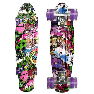China 22inch Mini Cruiser Penny Board Complete Skateboards Plastic Painting Decks for sale