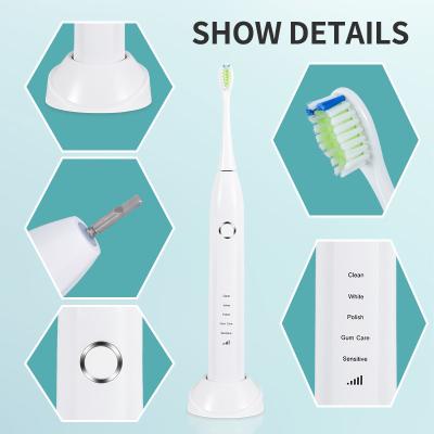 China IPX8 Clean White Sonic Toothbrush Water Resistant Smart Electric for sale