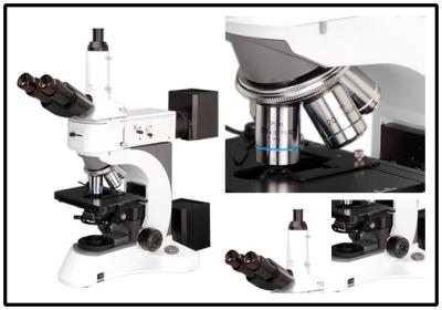 China Campo oscuro portátil polarizante Kohler NCM-J8000 del microscopio metalúrgico del laboratorio en venta