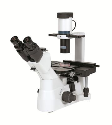 China Phase Contrast Laboratory Biological Microscope With Infinity Long Working Distance for sale