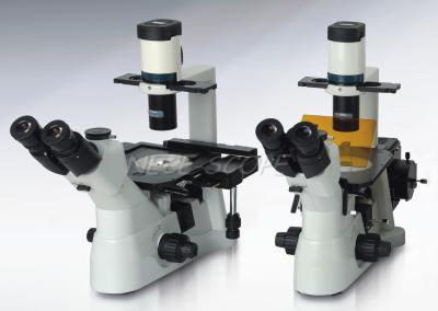 China PL10X22mm Eyepiece Laboratory Biological Microscope 6V 30W Halogen NCQ - 600 for sale