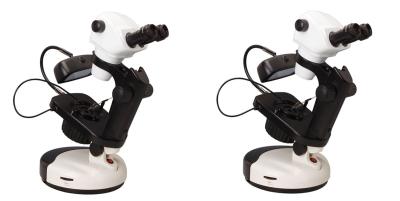 中国 Gemologyのステレオの高リゾリューションの蛍光顕微鏡12X - 75Xズームレンズの目的 販売のため
