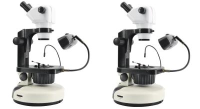 China 7W Fluorescent Light Microscope , Compensated Polarized Light Microscopy 12X - 75X for sale