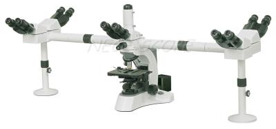 China Binocular Multi Viewing Microscope EW10×/ 20 With  Halogen Lamp for sale