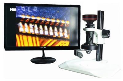 China Professional Digital Scanning Electron Microscope , Monocular Compound Light Microscopy for sale