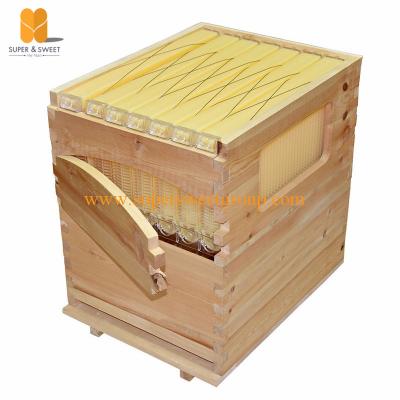 China Beekeeping Auto Flow Honey Hive Beehive Frames 7PCs Flow Hive Frame Supplier for sale