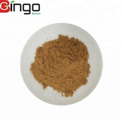 China Radix Notoginseng P.E./Pseudo-ginseng/san qi Herbal Dietary Supplement for sale