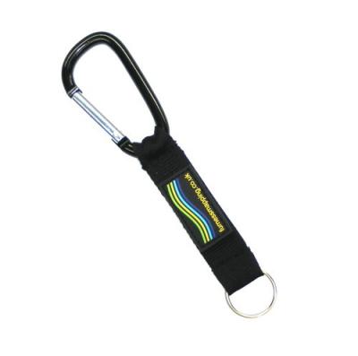 China Fashion Fishing / Hiking Carabiner Key Chain Clips Eco Friendly Fast Delivery for sale
