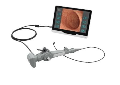 중국 3.0 밀리미터 수의학 내시경 검사 장비 탄력적 애완 기관지경 판매용
