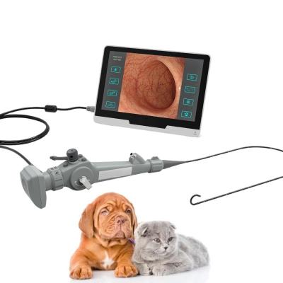 Chine Endoscope visuel flexible portatif pour le Cystoscopy animal Bronchscopy à vendre