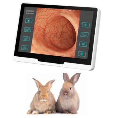 China ODM Veterinary Medical Equipment Flexible Intubation Video Endoscope For Vet for sale