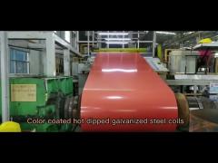 ASTM 0.12mm Color Coated Hot Dip Galvanized Steel Coil New Flower