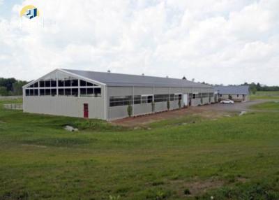 China Industrial Agricultural Steel Buildings Prefabricated Light Steel Frame Construction for sale