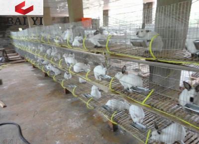 China Wire Mesh Rabbit Cages for Rabbit Farm for sale