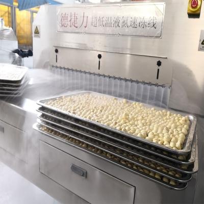 China DJL Food Processing Line Cryogenic Freezing Tunnel/Iqf Tunnel Freezer Equipment for sale