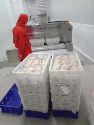 China mariscos ultrabajos del congelador del pecho del soplo de aire de 1200kg/H 1000kg/H menos 120C en venta