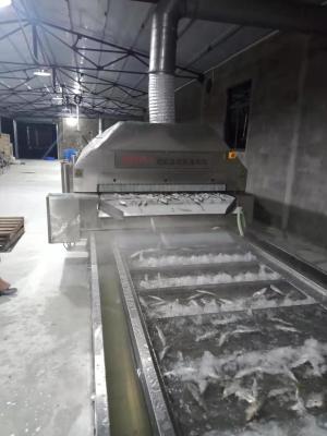 Chine D'Iqf d'azote de gel de viande de tunnel surgélateur d'azote de jet d'air de congélateur ultra à vendre