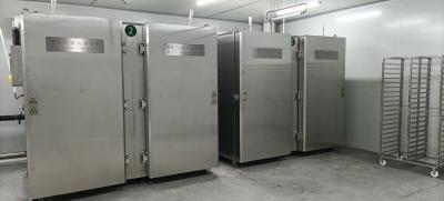 Chine congélateurs à air forcé et réfrigérateurs instantanés du gel 600kg/Hour sans 120C SUS304 à vendre