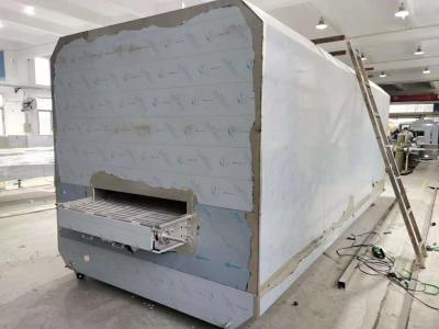 China 8 Kw Small Iqf Blast Tunnel Freezer 400kgs/Hour 500kg/Hour For Fruits for sale
