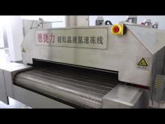 Fast Freezer Seafood Commercial Tunnel Machine For Seafood