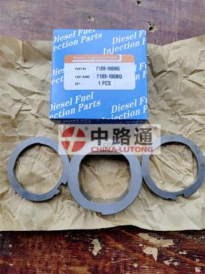 China Cam Ring 7189-100BQ Scroll Plate Kit for CAV 9521A030G DP210 DP310 Pumps cam ring for sale