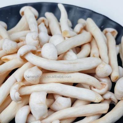China The Healthiest Vacuum Fried Vegetable Snacks of 2022 healthy dried white jade mushroom for sale