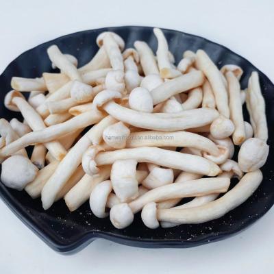 China Natural Organic Snacks White Beech Mushroom Healthy Vegetable VF Shimeji Mushroom for sale