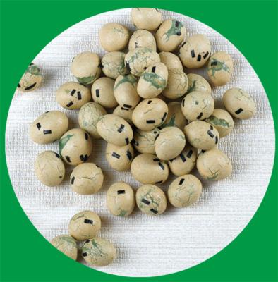 China 5kg Coated Peanut Snack Nature Groundnuts Crispy Flour Full Bodied Peanuts for sale