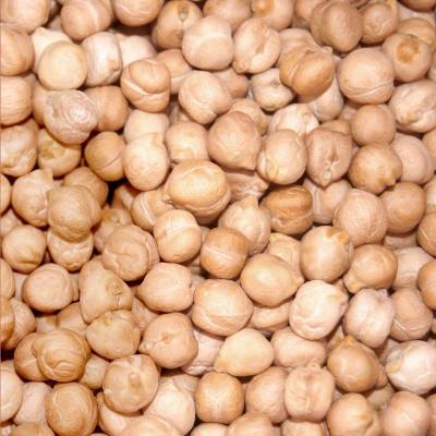 Chine Fried Roasted Bean Snacks Nutritious croustillant Chick Peas Snacks à vendre