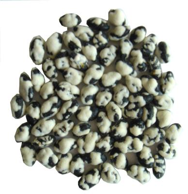 China Haba negra de la soja de la harina verde de Pea Snack Uniform Size Wheat del ocio en venta