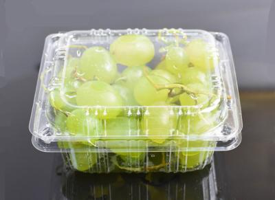 China Food Grade 900ml Grape Disposable Plastic Fruit Containers for sale
