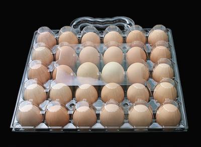 China Disposable Clear Plastic 30 Eggs Cartons with Handle for sale