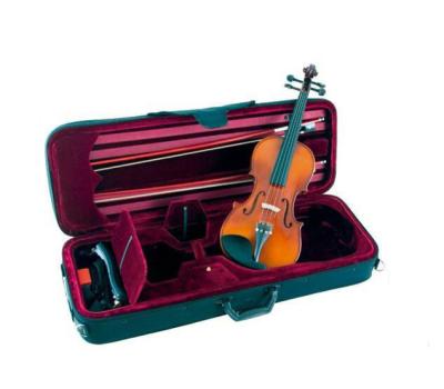 Chine Surface imperméable de polyester d'EVA Classical Guitar Case 1680D à vendre