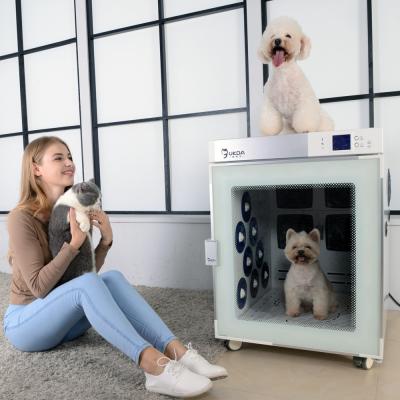 Κίνα Αρνητικό ιονικό λουτρό μηχανών στεγνωτήρων τρίχας σκυλιών γραφείου κοντά στην υπέρυθρη θεραπεία προς πώληση