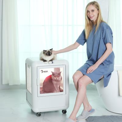 China Air Bath PET Drying Room PTC Low Noise Pet Grooming  Machine for sale