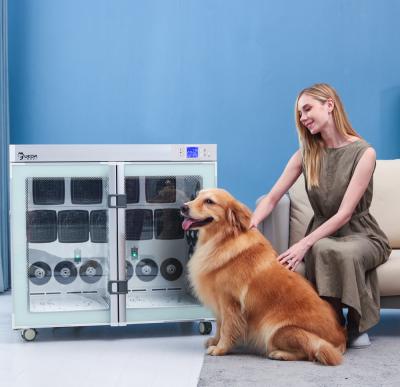 China Plastic Casing Dog Dryer Box silence Negative Ion Bath 220V 2700W for sale