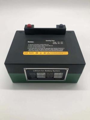 China Lithium LiFePO4 ODM Battery Rechargeable For Golf Cart Trolley for sale
