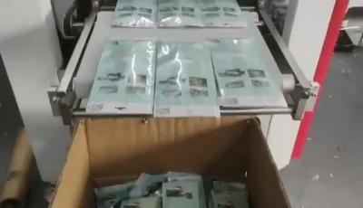 中国 150pcs/Min Full Auto Face Mask Packaging Machine Horizontal Medical Mask Packaging Machine 販売のため