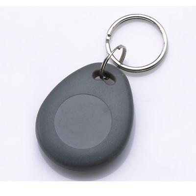 Китай 125 кГц RFID Tag Keychain Auid Программируемый перезаписываемый EM4305 RFID Keyfob T5577 Keytag продается
