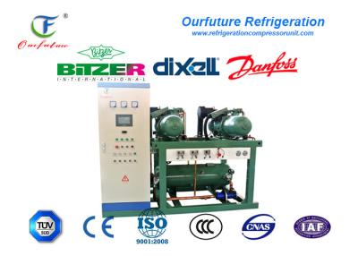 China R404a  Brand Screw Type Cold Room Compressor Unit For Water Chiller for sale