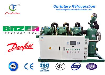 China unidade Bitzer 415V/3/60Hz do compressor do parafuso do congelador de explosão da galinha 100hp à venda
