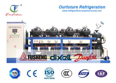 China R404a  HSK7471-75 screw type parallel compressor racks for -18 degree cold storage for sale
