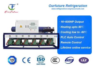 Cina Le unità di condensazione commerciali di lavorazione delle sementi ventilano 50hp*5 raffreddato R404a in vendita
